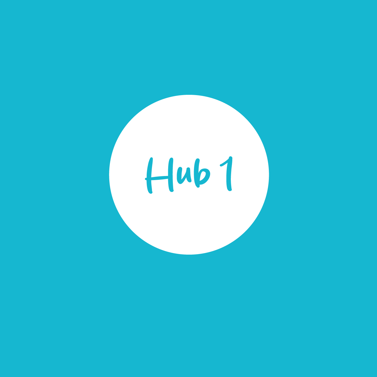 Hub 1 Foundation – Literacy Basics