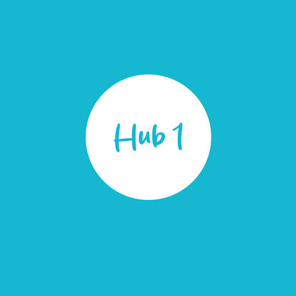 Hub 1 Foundation – Literacy Basics