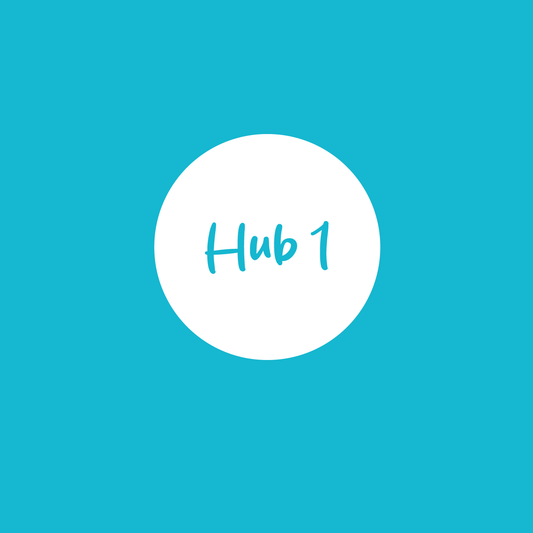 Hub 1 Foundation – Literacy Basics