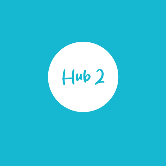 Hub 2 Stepping Stones – Literacy Confidence