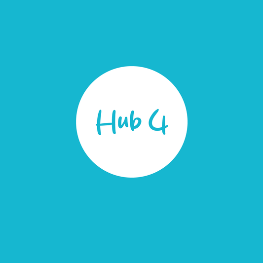 Hub 4 Mastery – Becoming a Word Whizz